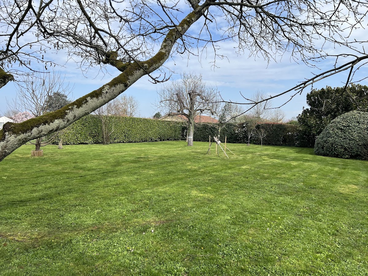 MEL O'GREEN — photo 3