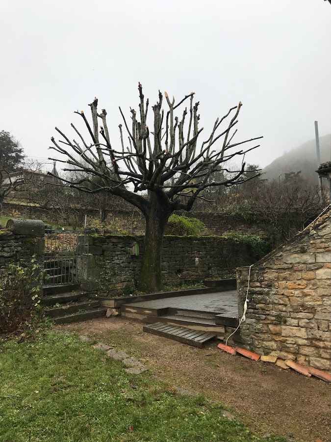 Clem'Atite — photo 4