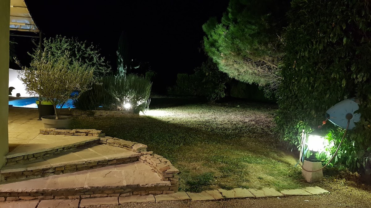 Oliveraies & Paysages — photo 6