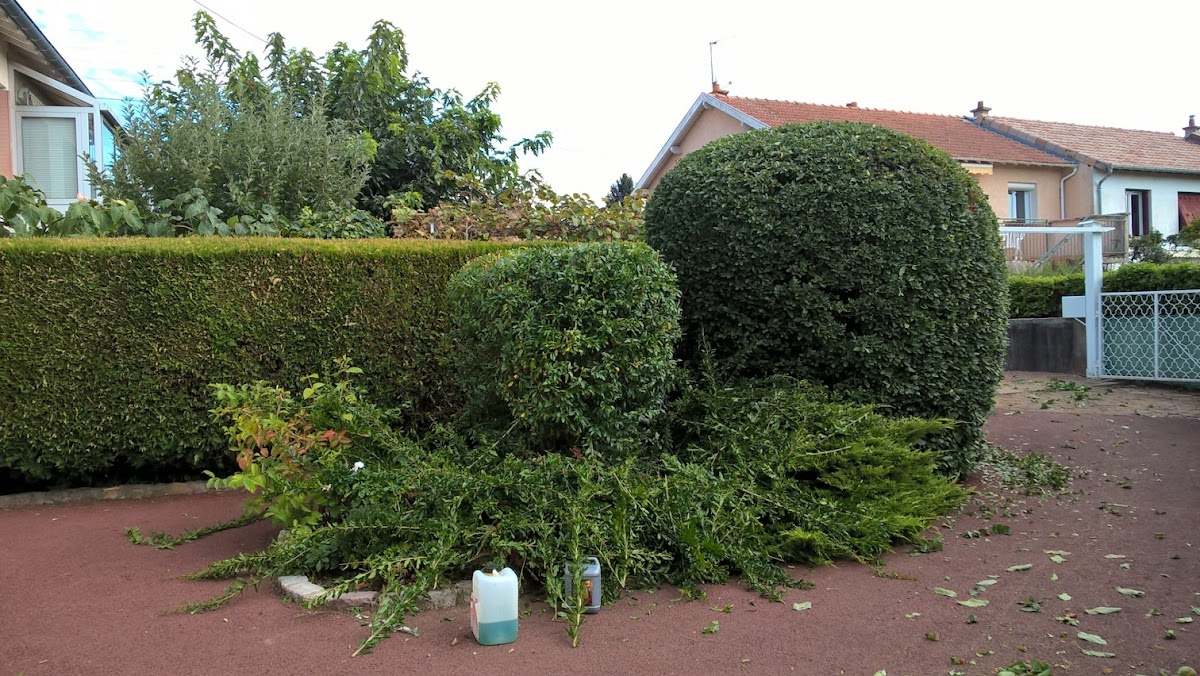 andre seigler paysagiste — photo 2