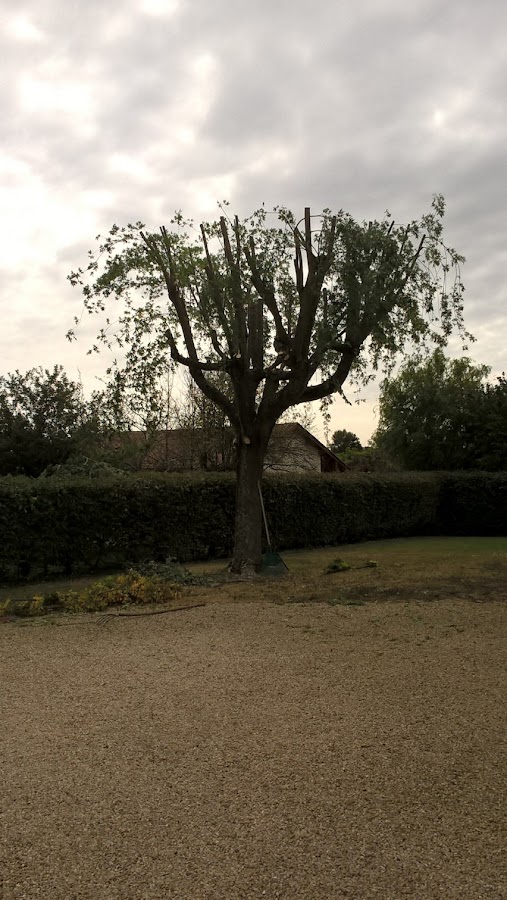 andre seigler paysagiste — photo 5