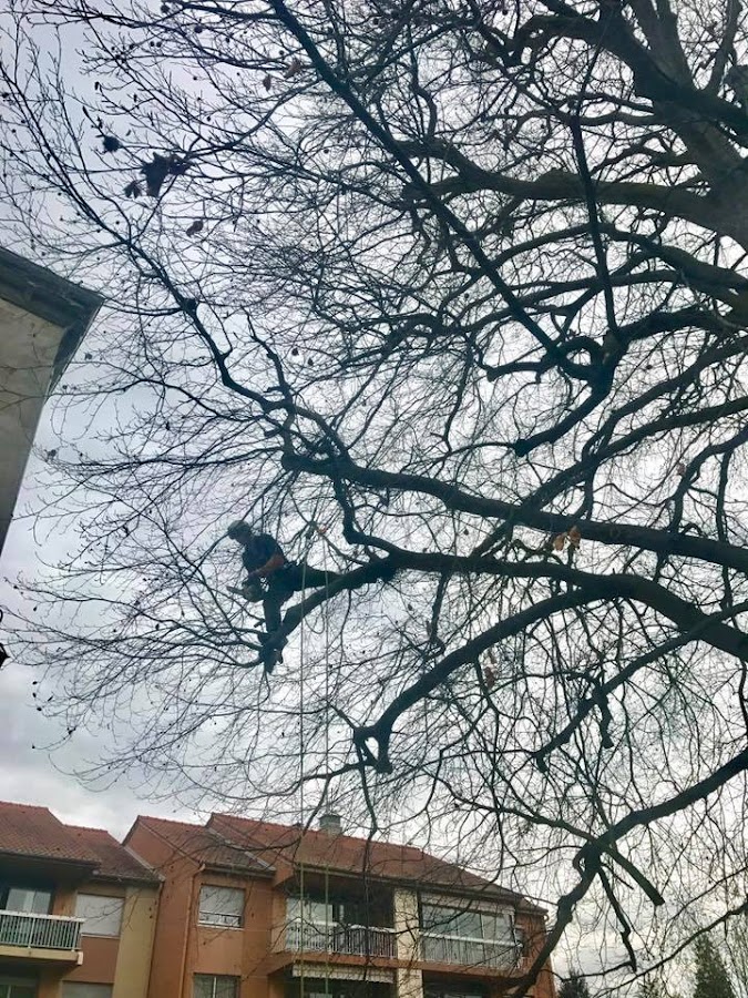 Au-delà Des Cimes — photo 6