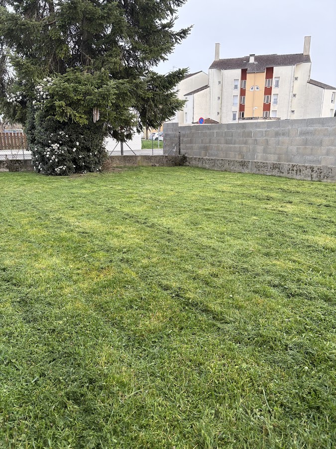 Servan Services : société de services à domicile — photo 4
