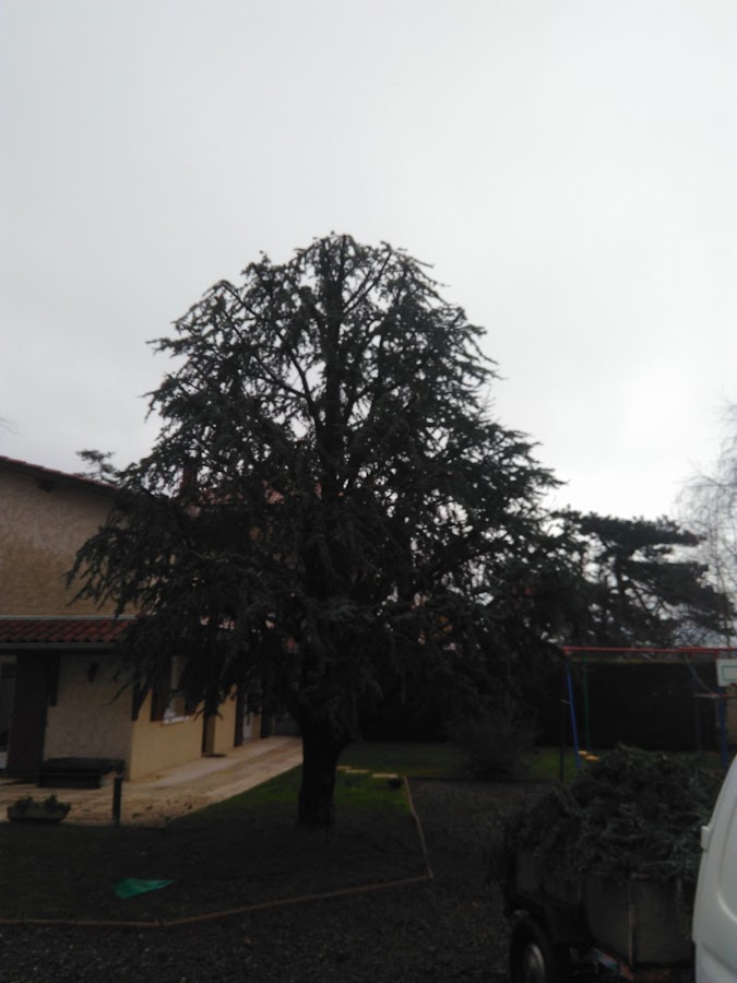 LES JARDINS A NUEL — photo 3